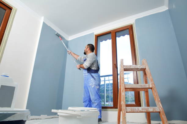 Best Touch-Up Painting  in Riverside, IA